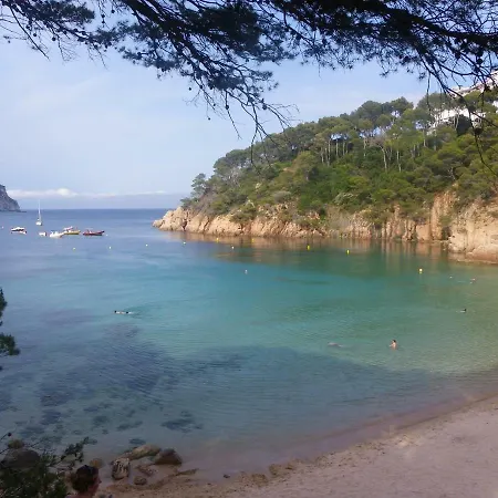 Apartman Brisa Blanca - Sa Riera *